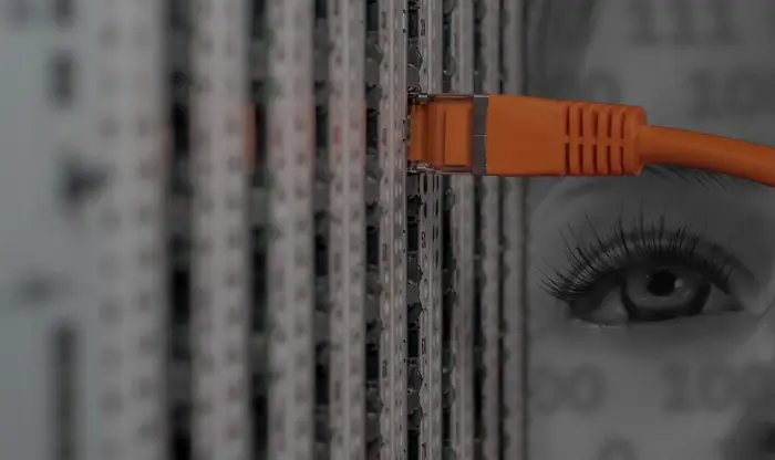 Network cable plugged into a patch panel